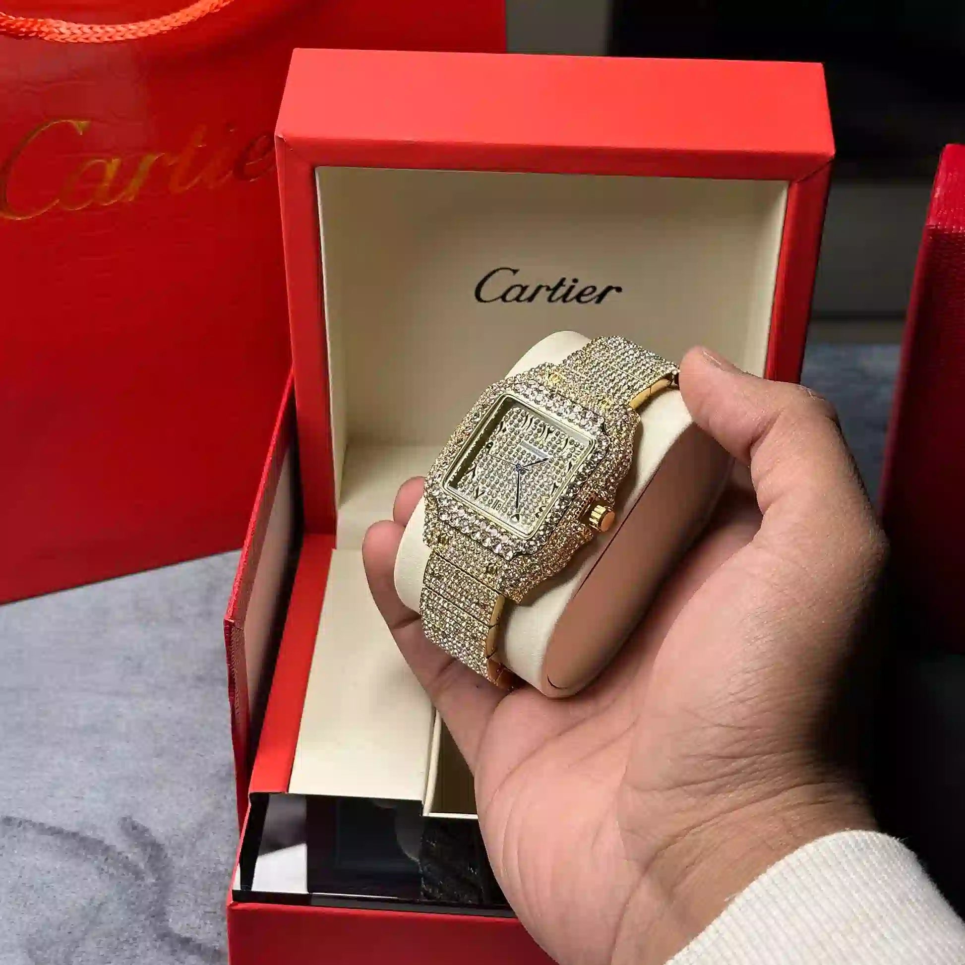 Iced-Tone Watch in Silver and Golden